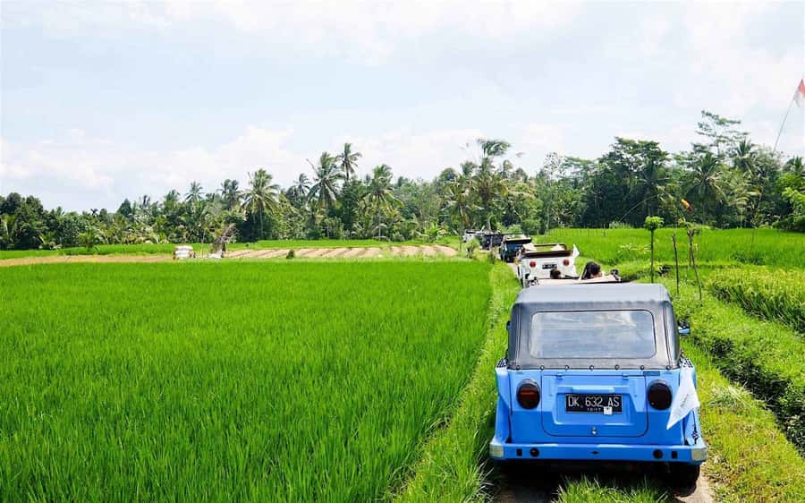 Bali: Vintage VW Jeep Countryside Safari - Key things to know before booking