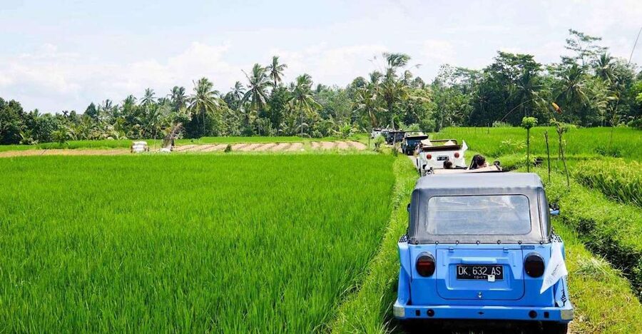 Bali: Vintage VW Jeep Countryside Safari - Lunch inside a Balinese family home