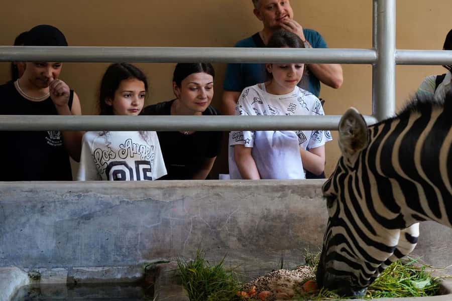 Bali Zoo: Behind Closed Doors Afternoon Safari Guided Tour - Key points to know before you book