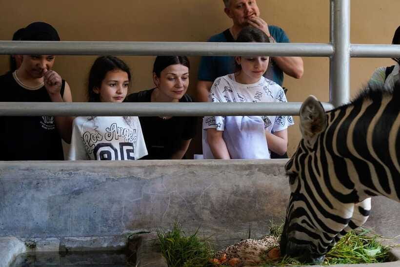 Bali Zoo: Behind Closed Doors Afternoon Safari Guided Tour - Who will enjoy this most?