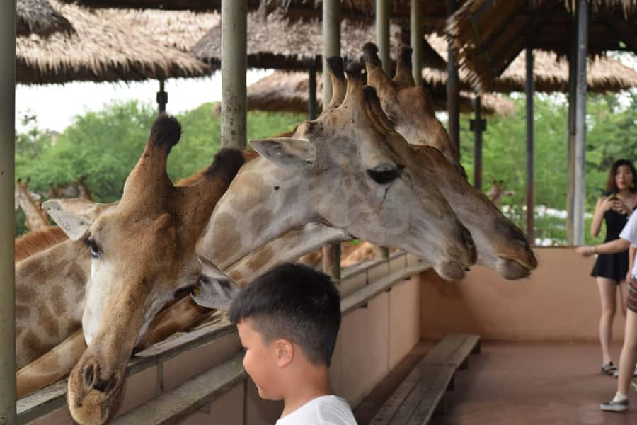 Bangkok Safari & Marine Park - What this Bangkok safari experience really includes