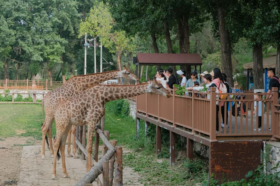 Bangkok Safari & Marine Park - Who should book this day out?