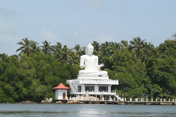 Bentota River Safari By BTM (Mangrove & Wildlife Encounter) - What happens during the two-hour cruise