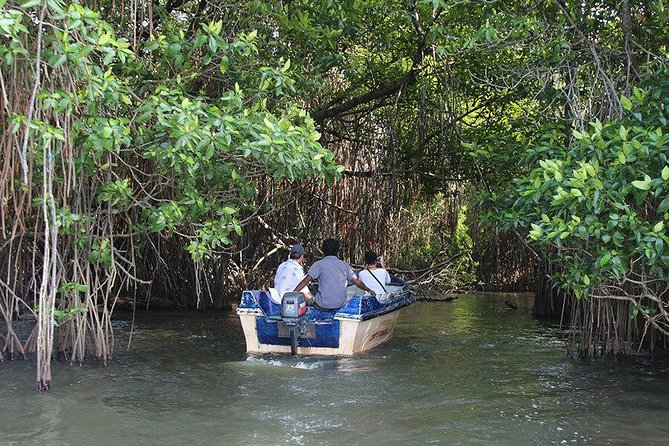 Bentota River Safari By BTM (Mangrove & Wildlife Encounter) - Comfort, service, and small details