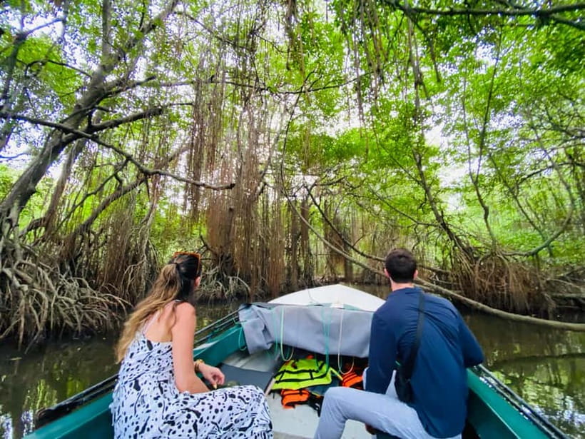 Bentota River Safari: Discover Wildlife & Mangroves by Boat - What the $20 price includes