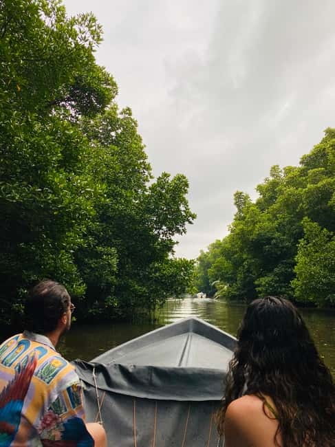 Bentota River Safari: Discover Wildlife & Mangroves by Boat - Practical comfort and limitations