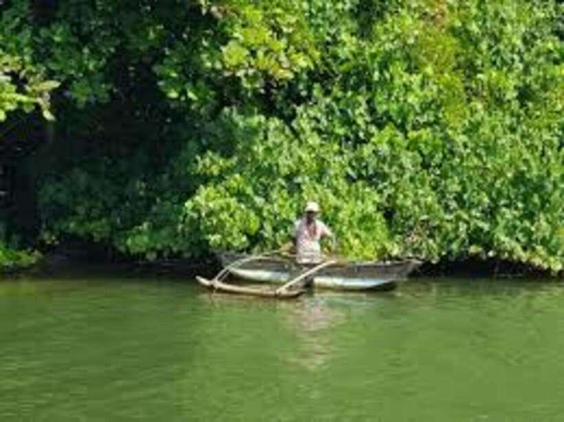Bentota: River Safari with Hotel Pickup and Drop-Off - Wildlife sightings: what you might see