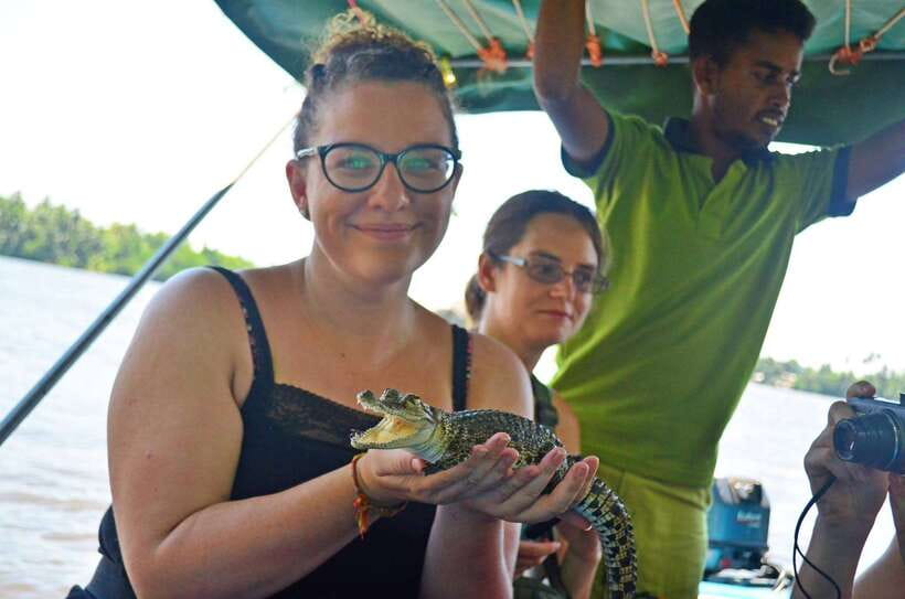 Bentota River Safari with Mangrove and Wildlife Encounter - Through the Bentota River mangroves