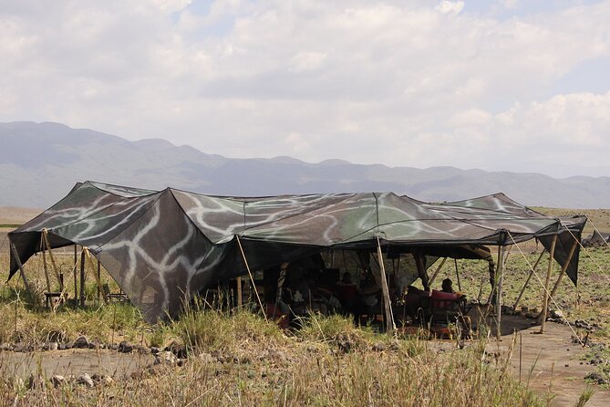 Best 5 Days Tanzania Private Luxury Safari with luxury Lodges - Day 2: Crossing toward Central Serengeti