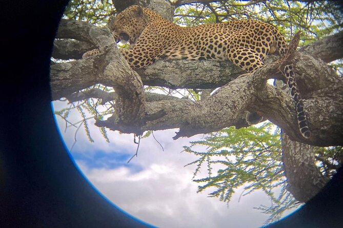 Best of Tanzania 5days 4nights safari - Tarangire: elephants, baobabs, and an easy first day