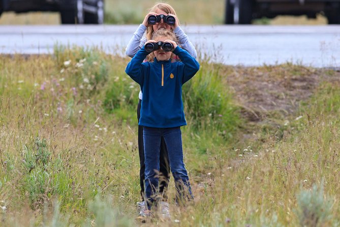 Best of Yellowstone - Guided National Park Safari Tour - A very early start from Jackson Hole