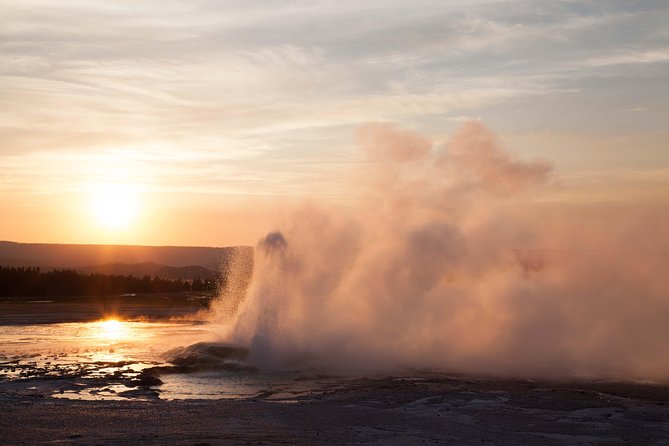 Best of Yellowstone - Guided National Park Safari Tour - Six hours inside Yellowstone