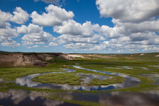 Best of Yellowstone - Guided National Park Safari Tour - Hayden Valley is the wildlife center of the day