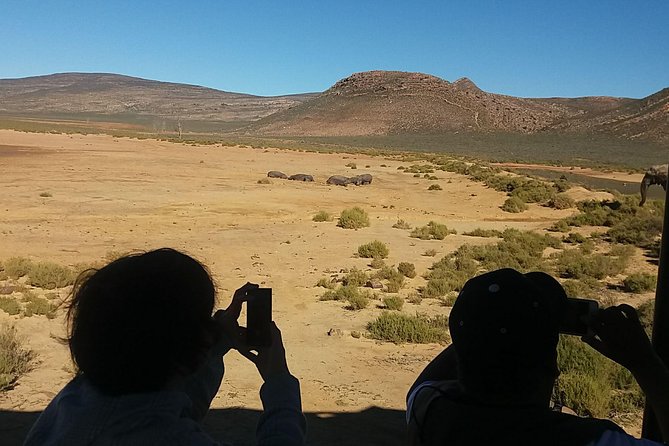 Big 5 Full Day Safari Aquila Lunch plus Breakfast From Cape Town - Why this safari works as a Cape Town day trip