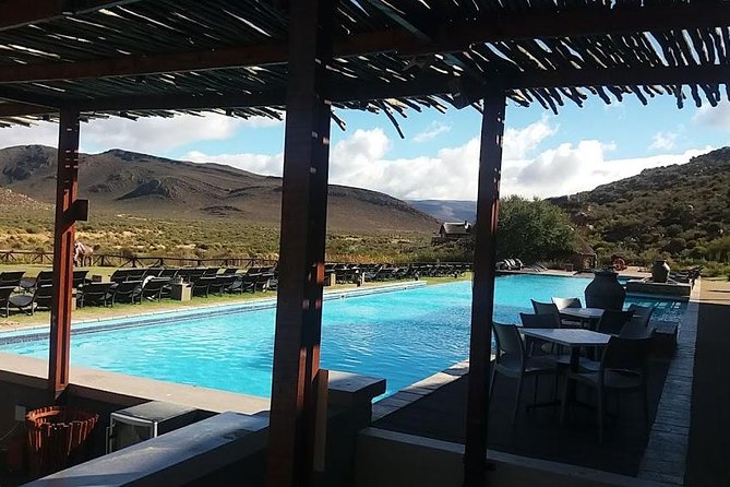 Big 5 Full Day Safari Aquila Lunch plus Breakfast From Cape Town - Three hours with Aquila’s wildlife