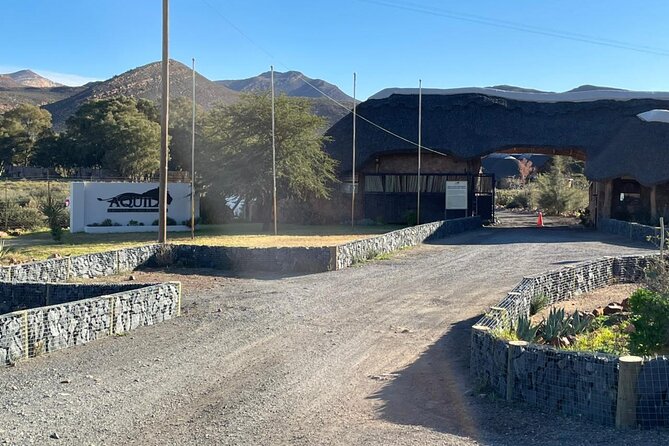 Big 5 Safari Aquila Full Day Private Return From Cape Town - The 2 to 3 hour open-vehicle drive