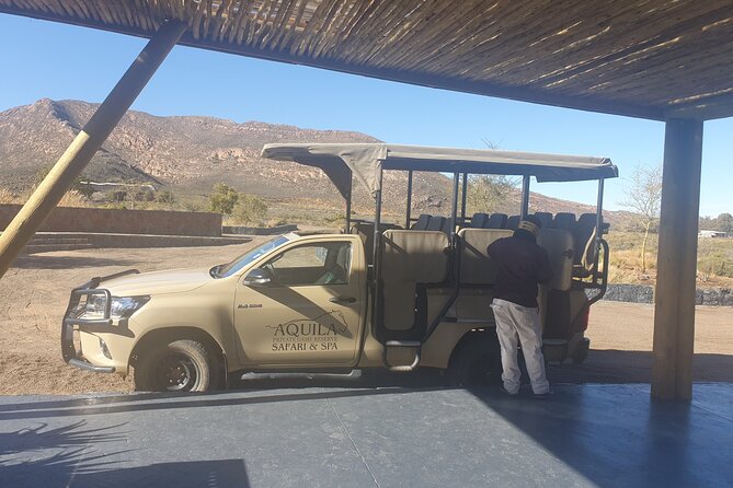 Big 5 Safari Aquila Full Day Private Return From Cape Town - Lunch, breakfast, and the winery option