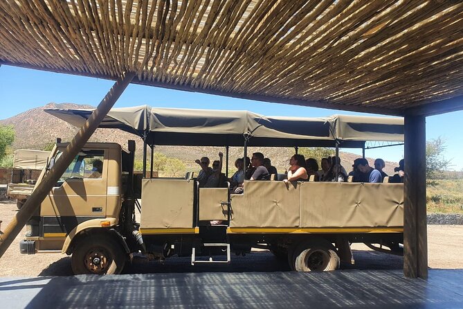 Big 5 Safari Aquila Full Day Private Return From Cape Town - Is $274.16 per person good value?