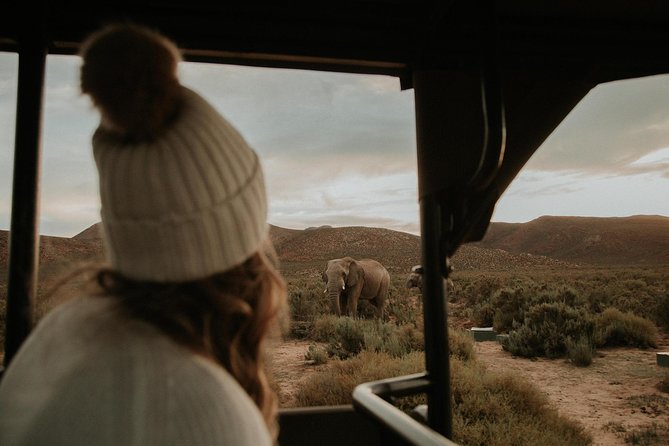 Big 5 Safari One Day Tour - Breede Valley views and Worcester