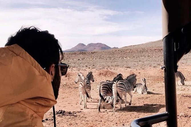 Big 5 Safari One Day Tour - What the guide can add to the drive