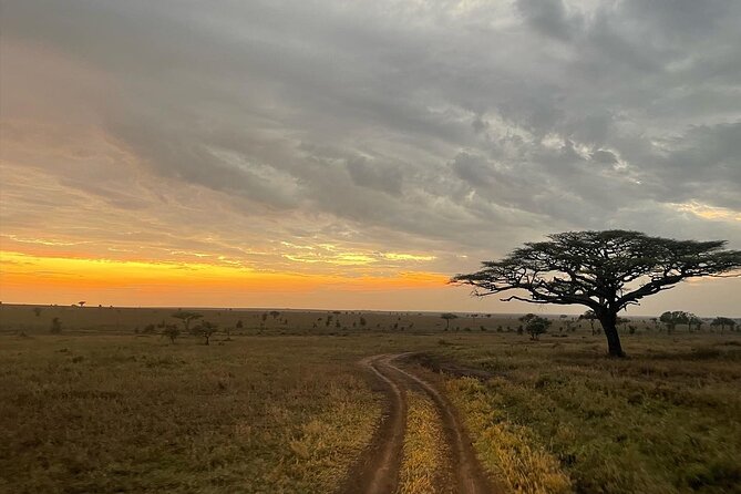 Big Five Dream Safari - A guide can make or break the safari
