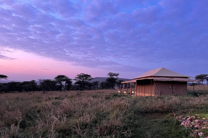 Big Five Dream Safari - Tarangire: elephants and an easier first day