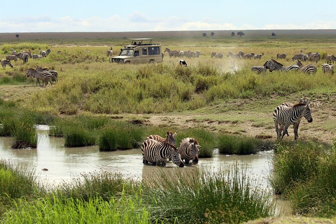 Big Five Luxury 7 Days Safari Tour in Arusha - Why this seven-day route works