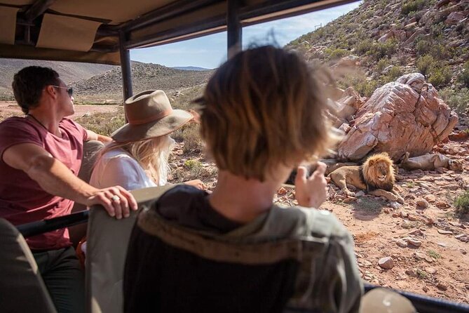 Big Five Safari Experience Near Cape Town ,South Africa - What I like, and what I would change