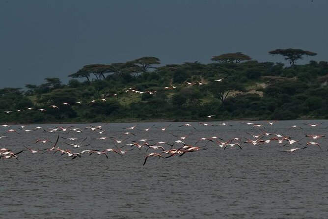 Big Five Safari In Tanzania - Day four: Crossing the Ngorongoro Highlands to Serengeti