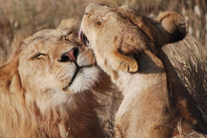Big Five Safari In Tanzania - Day one: Kilimanjaro Airport to Karatu