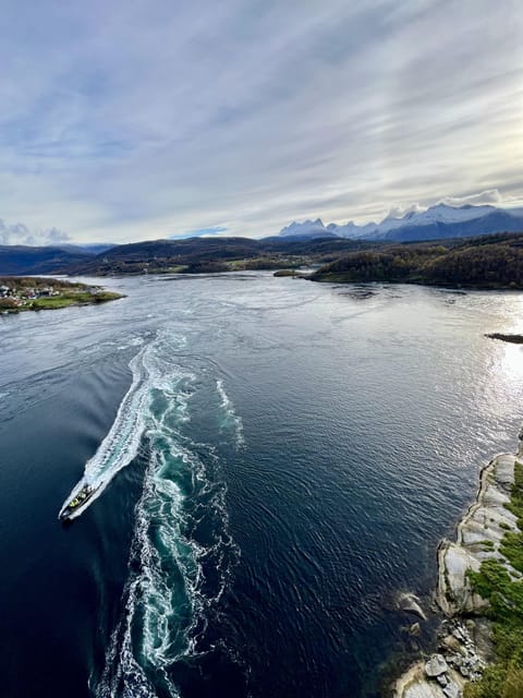 Bodø: Saltstraumen RIB Safari - Why Saltstraumen makes this two-hour trip special