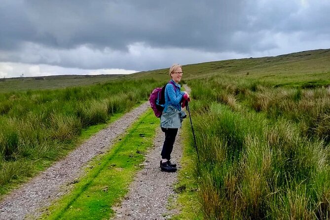 Bog Safari Hike - Why this Donegal bog walk is different