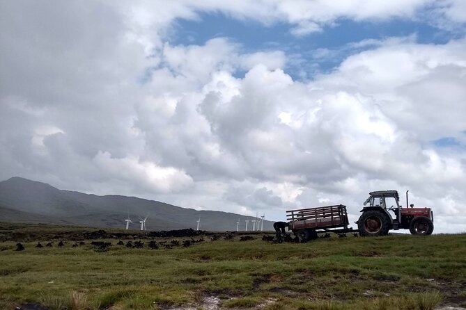 Bog Safari Hike - Myths, monastic remains, and local meaning