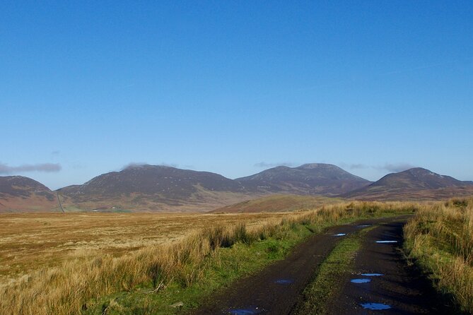 Bog Safari Hike - Biodiversity and climate change on the route