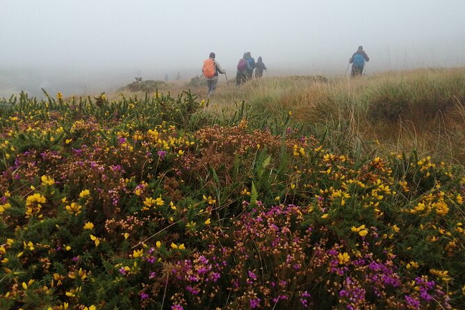 Bog Safari Hike - What the $50.60 price gets you