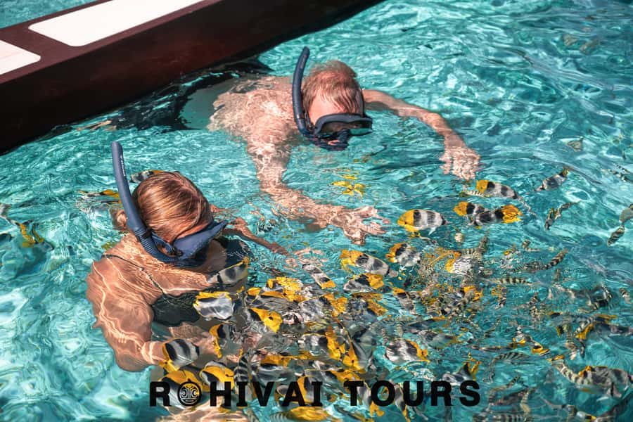 Bora Bora: 1/2 day lagoon safari - Shared tour - Stop one: sharks and stingrays in clear shallow water