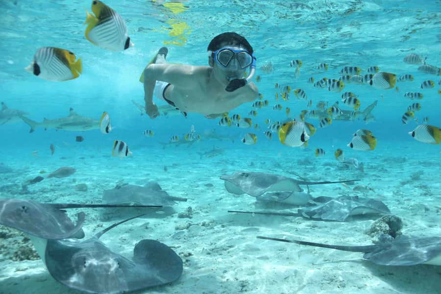 Bora Bora by Land and Sea: 4WD Safari and Snorkel - Lunch at Bloody Mary’s or Fare Manuia