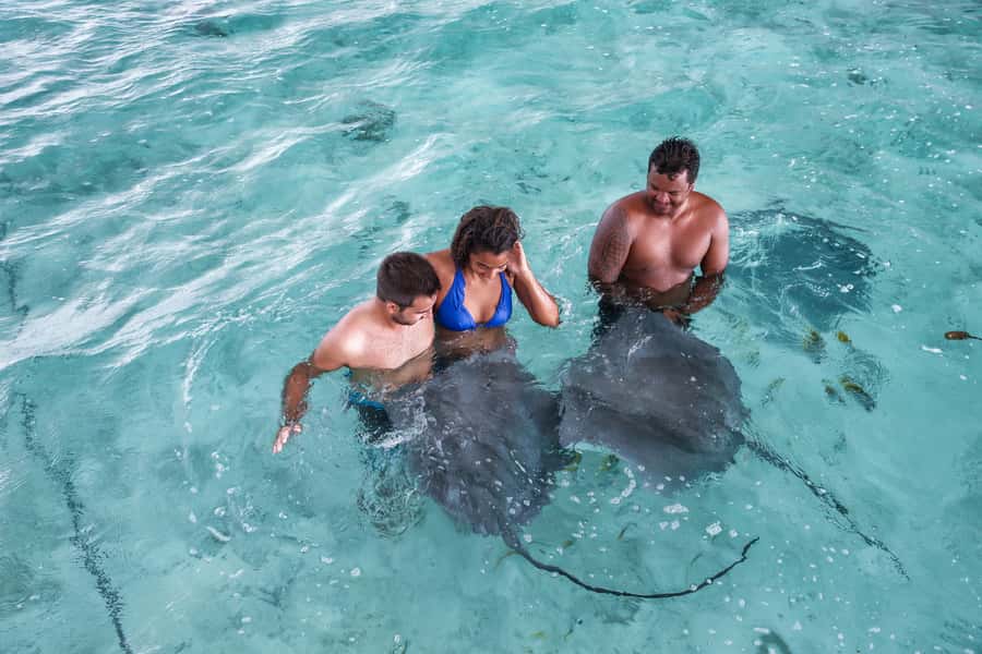 Bora Bora: Eco Shark and Snorkeling Safari - Stop three: Bora Bora’s coral garden