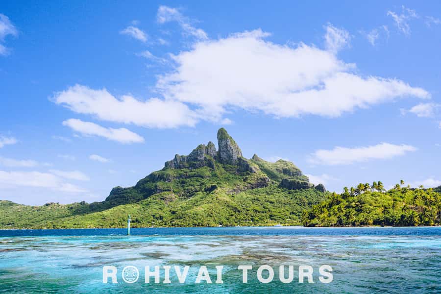 Bora Bora: Full day Lagoon Safari & Lunch on a Motu - ST - Sharks and stingrays in clear, shallow water