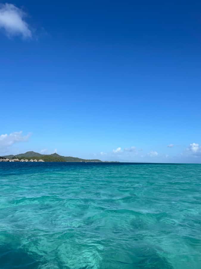 Bora Bora: Full day Lagoon Safari & Lunch on a Motu - ST - Who should book this lagoon safari?