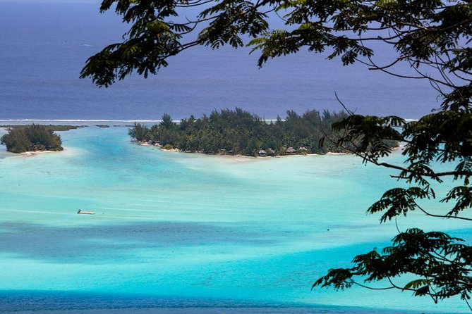 Bora Bora Half Day 4X4 Island Safari Tours - The guides are a major part of the value