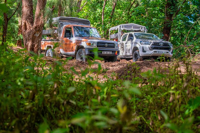 Bora Bora Half Day 4X4 Island Safari Tours - Small groups and hotel pickup keep the outing easy