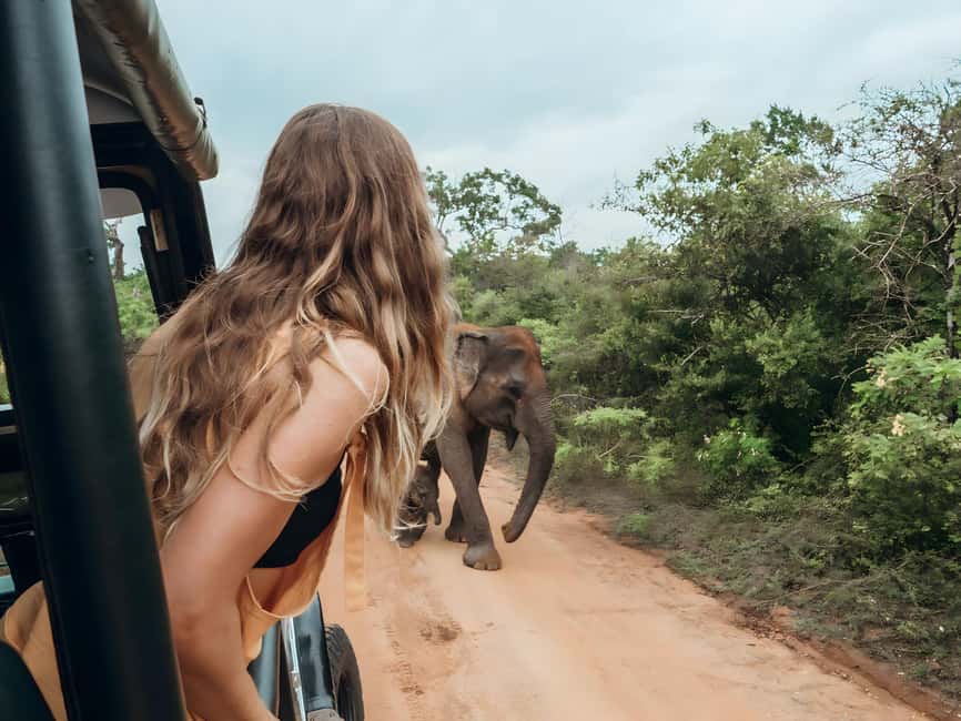 Budget Yala Safari with Accomadation & Meals Included - What the $25 Price Really Covers