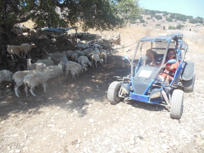 Buggy safari Crete (Transfer and lunch) analipsi- hersonisos - Malia Palace: a short look at ancient Crete