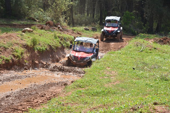 Buggy Safari for 2 people - Why the guides make such a difference