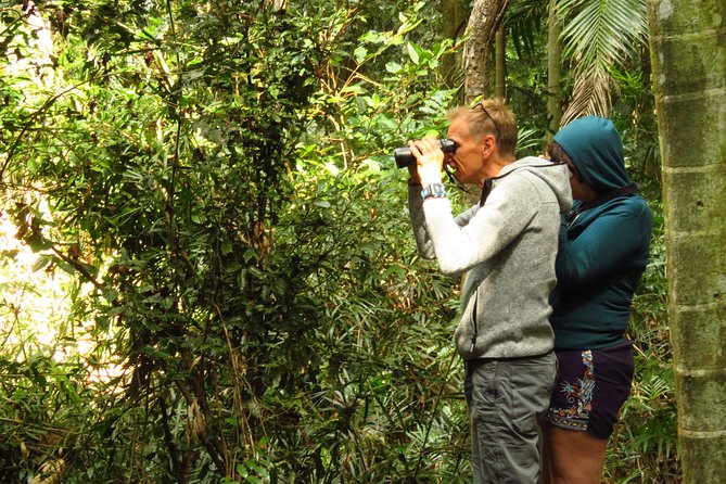 Byron Bay Wildlife Safari - Key points at a glance