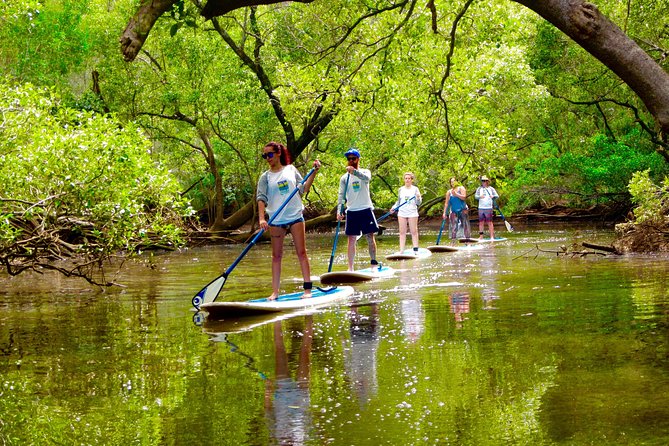 Byron Bay Wildlife Safari - A careful approach to wild animals