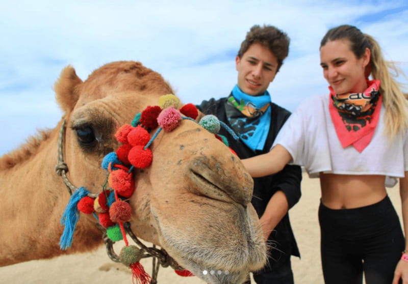 Cabo: Camel Safari Adventure with Tacos - Who will enjoy this most?