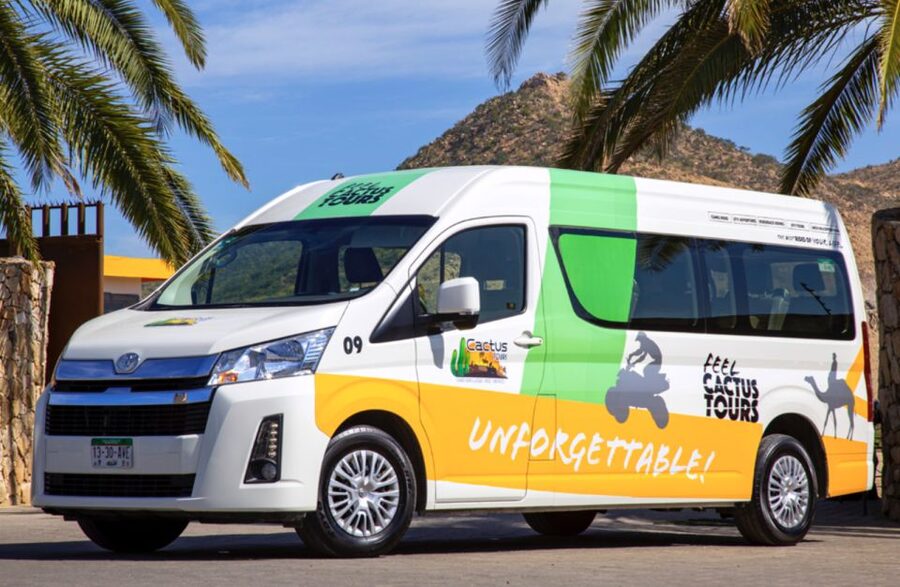 Cabo: Camel Safari Adventure with Tacos - Riding along the Pacific coast