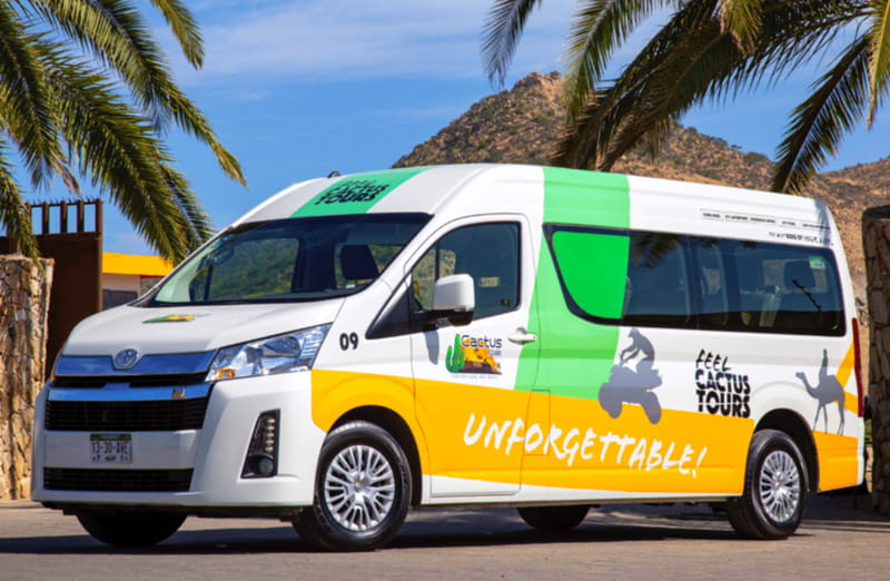 Cabo: Camel Safari Adventure with Tacos - Tacos, Jamaica water, and horchata